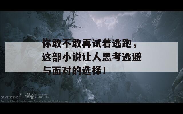 你敢不敢再试着逃跑，这部小说让人思考逃避与面对的选择！