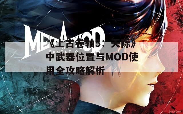 《上古卷轴5：天际》中武器位置与MOD使用全攻略解析