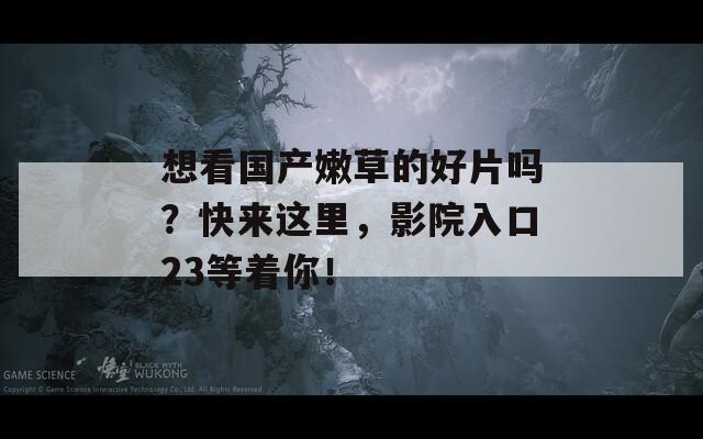 想看国产嫩草的好片吗？快来这里，影院入口23等着你！