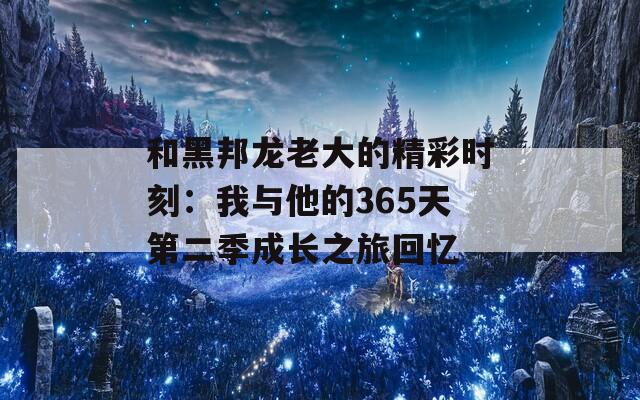 和黑邦龙老大的精彩时刻：我与他的365天第二季成长之旅回忆