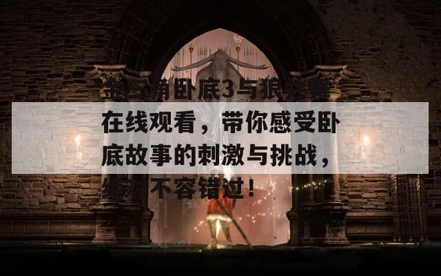 金三角卧底3与狼共舞在线观看，带你感受卧底故事的刺激与挑战，绝对不容错过！