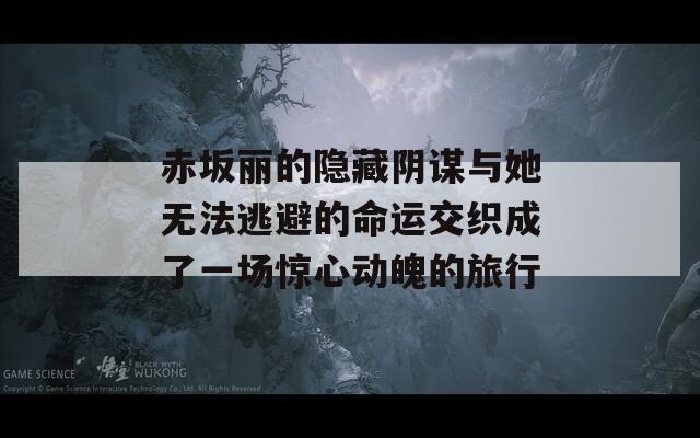 赤坂丽的隐藏阴谋与她无法逃避的命运交织成了一场惊心动魄的旅行