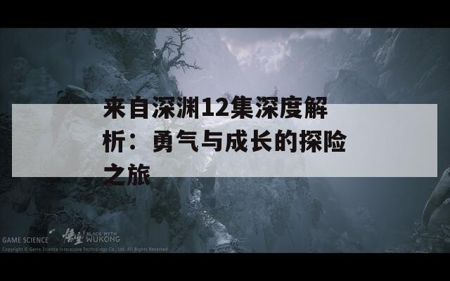 来自深渊12集深度解析：勇气与成长的探险之旅