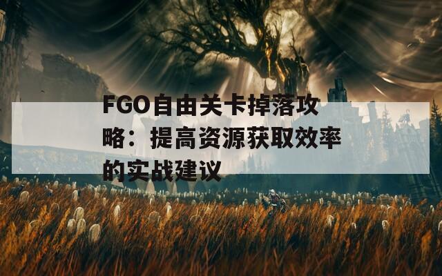 FGO自由关卡掉落攻略：提高资源获取效率的实战建议