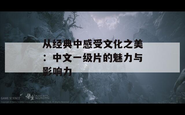 从经典中感受文化之美：中文一级片的魅力与影响力