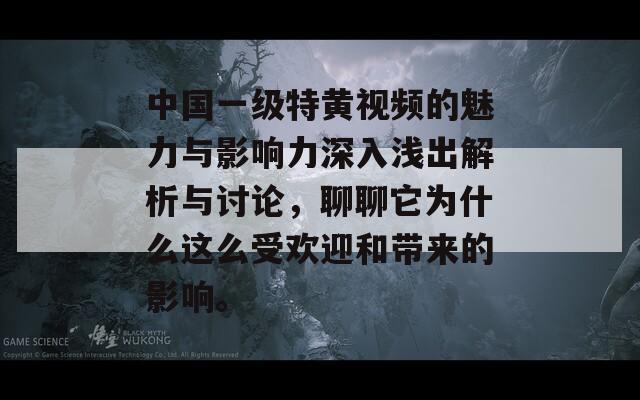 中国一级特黄视频的魅力与影响力深入浅出解析与讨论，聊聊它为什么这么受欢迎和带来的影响。