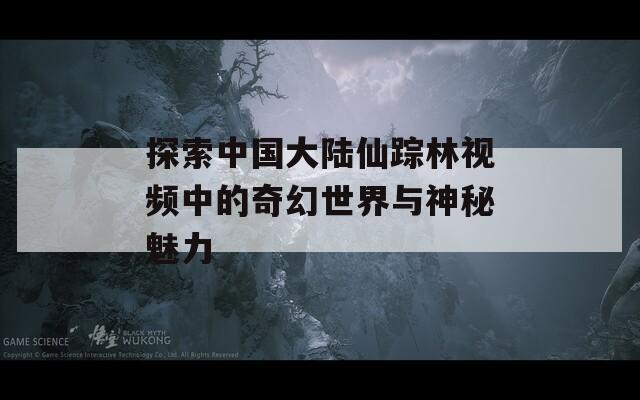 探索中国大陆仙踪林视频中的奇幻世界与神秘魅力