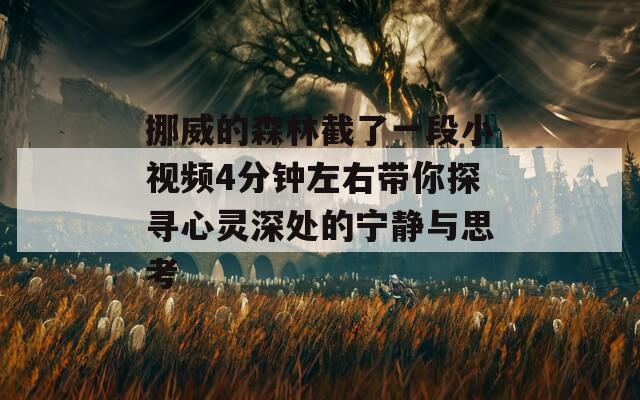 挪威的森林截了一段小视频4分钟左右带你探寻心灵深处的宁静与思考