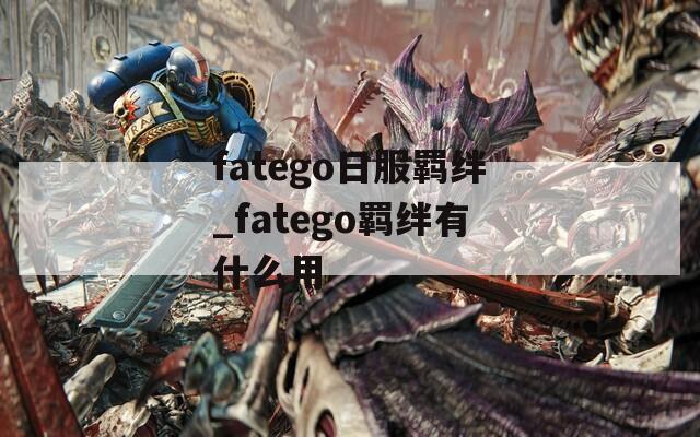 fatego日服羁绊_fatego羁绊有什么用