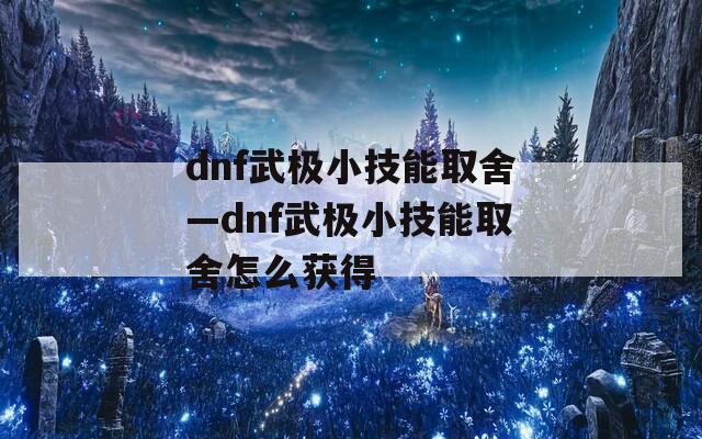 dnf武极小技能取舍—dnf武极小技能取舍怎么获得